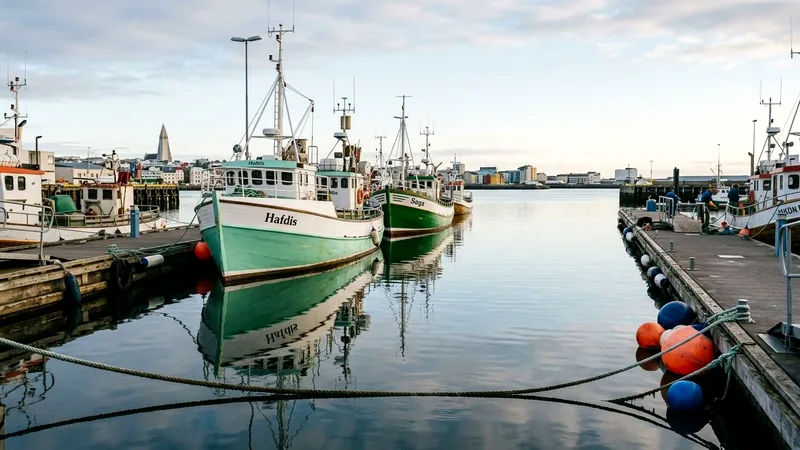 Green and white boats moored in calm harbor water with reflections