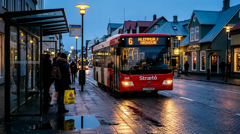 Reykjavik Public Transport: Bus Routes, Passes & Tips