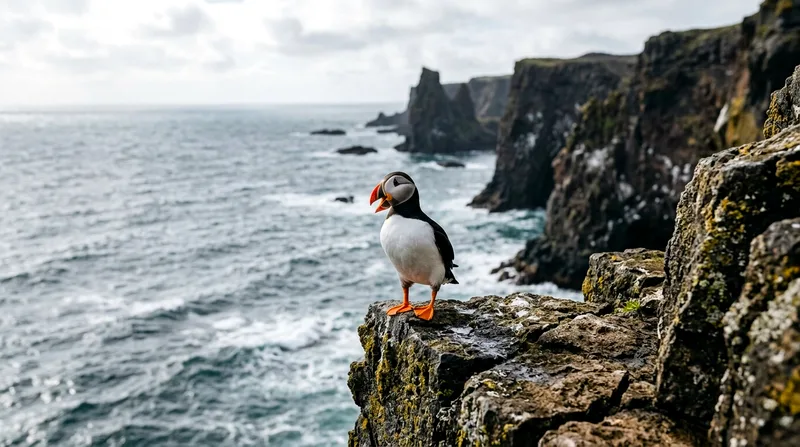 Puffin Watching Tours from Reykjavik: Best Boat Trips